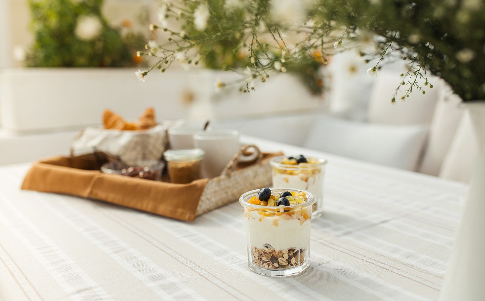 Jardí de Ses Bruixes Collection